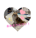 【りにゅーある♡】るきるきスタンプ♡（個別スタンプ：8）