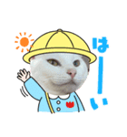 ねこ★ねこ★ねこ（個別スタンプ：1）
