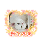ねこ★ねこ★ねこ（個別スタンプ：2）