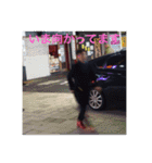 自分自身マイセルフ2（個別スタンプ：4）