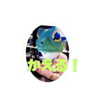 神戸ライダー やすにぃ＆麗菜その他Part2（個別スタンプ：18）