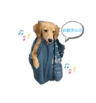 仔犬ちゃんのひと言（個別スタンプ：4）