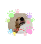 仔犬ちゃんのひと言（個別スタンプ：6）