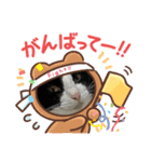ねこ★ねこ★ねこ③（個別スタンプ：3）