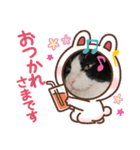 ねこ★ねこ★ねこ③（個別スタンプ：4）