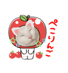 ねこ★ねこ★ねこ③（個別スタンプ：5）