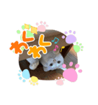 ねこ★ねこ★ねこ③（個別スタンプ：8）