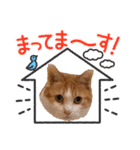 ツリーとにゃんことウクレレスタンプ（個別スタンプ：11）