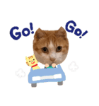 ツリーとにゃんことウクレレスタンプ（個別スタンプ：12）