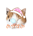 ツリーとにゃんことウクレレスタンプ（個別スタンプ：13）