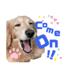 らぶぞぅEnglish 2（個別スタンプ：6）