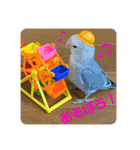 ゆきちゃん宅スタンプ16（個別スタンプ：2）