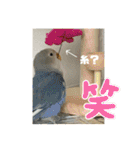 ゆきちゃん宅スタンプ16（個別スタンプ：7）