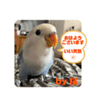 ゆきちゃん宅スタンプ16（個別スタンプ：8）