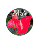 ゆきちゃん宅スタンプ16（個別スタンプ：10）