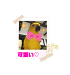 ゆきちゃん宅スタンプ16（個別スタンプ：12）