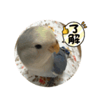 ゆきちゃん宅スタンプ16（個別スタンプ：13）
