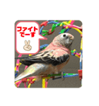 ゆきちゃん宅スタンプ16（個別スタンプ：24）