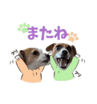 はなとさくの花咲くeveryday3（個別スタンプ：3）