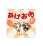 はなとさくの花咲くeveryday3（個別スタンプ：6）