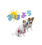 はなとさくの花咲くeveryday3（個別スタンプ：8）