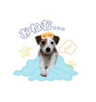 はなとさくの花咲くeveryday3（個別スタンプ：11）
