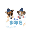 はなとさくの花咲くeveryday3（個別スタンプ：13）