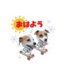 はなとさくの花咲くeveryday3（個別スタンプ：14）