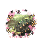 兄丸ランド（個別スタンプ：7）
