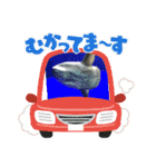 兄丸ランド（個別スタンプ：13）