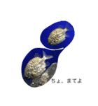 兄丸ランド（個別スタンプ：16）