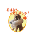 かわいいくぅスタンプ（個別スタンプ：1）