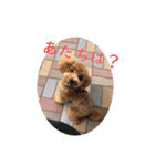 かわいいくぅスタンプ（個別スタンプ：5）