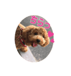 かわいいくぅスタンプ（個別スタンプ：11）