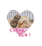 かわいいくぅスタンプ（個別スタンプ：22）