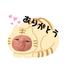 吏翔くんスタンプ（個別スタンプ：6）