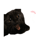 ミンシンすたんぷ（個別スタンプ：3）