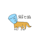 エリザベスドッグ（個別スタンプ：1）