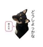 大好きぷんたん2（個別スタンプ：7）
