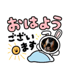 ダックスRAMU（個別スタンプ：1）