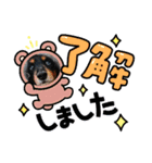 ダックスRAMU（個別スタンプ：2）