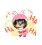 ダックスRAMU（個別スタンプ：5）