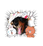 ダックスRAMU（個別スタンプ：15）