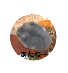 ポップたぁぁぁん(好きです)（個別スタンプ：22）