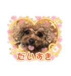 プードルのアレキくん 1（個別スタンプ：4）