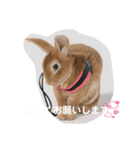 日常使えるモカくんのスタンプ（個別スタンプ：1）