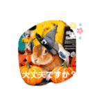 日常使えるモカくんのスタンプ（個別スタンプ：7）