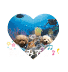 日常使えるモカくんのスタンプ（個別スタンプ：21）