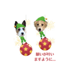 はるくんりひとくんクリスマス＆お正月（個別スタンプ：3）