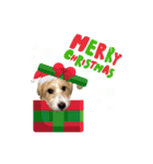 はるくんりひとくんクリスマス＆お正月（個別スタンプ：5）